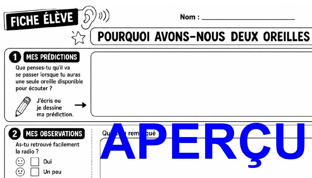 Aperçu 8