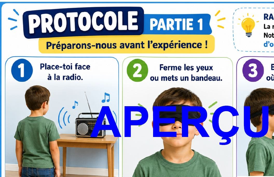 Aperçu 3