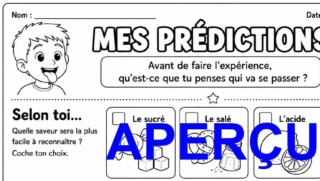 Aperçu 8