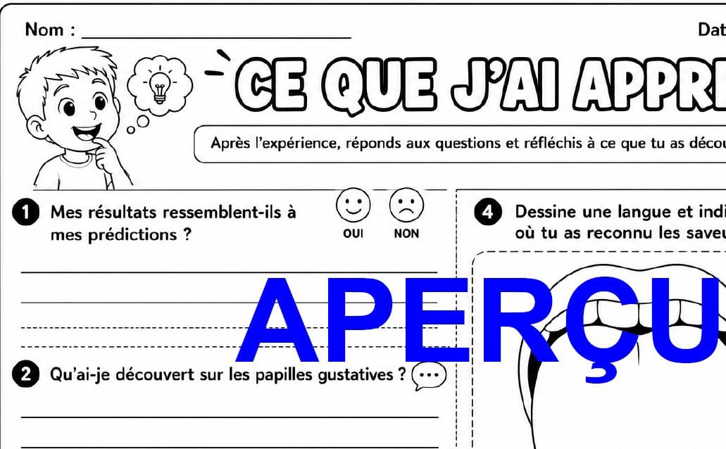 Aperçu 10