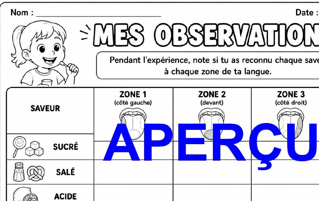 Aperçu 9