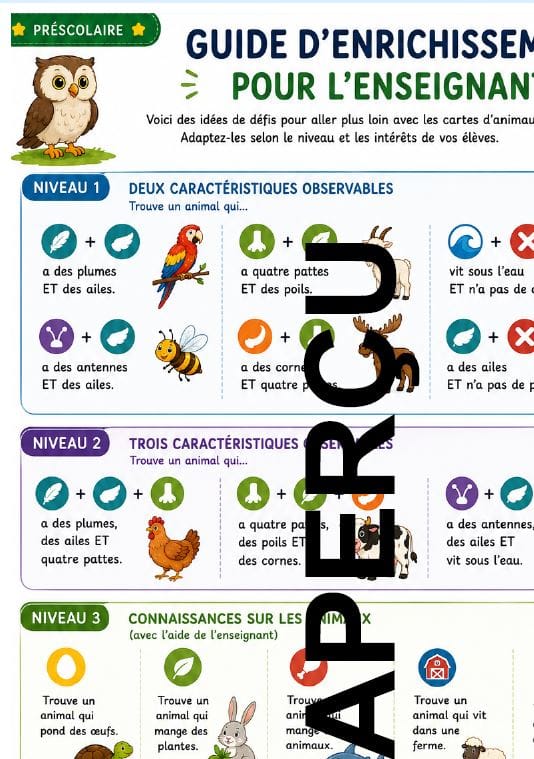 Aperçu 5