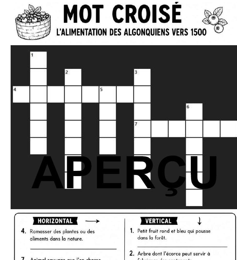 Aperçu 5