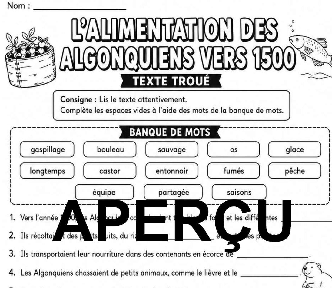 Aperçu 4