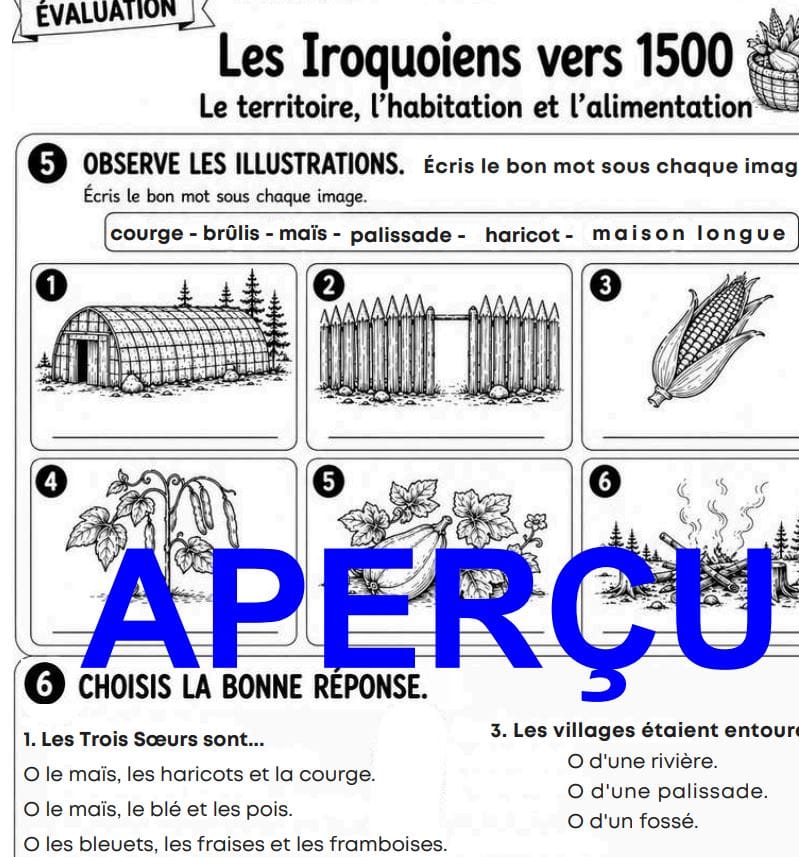 Aperçu 7