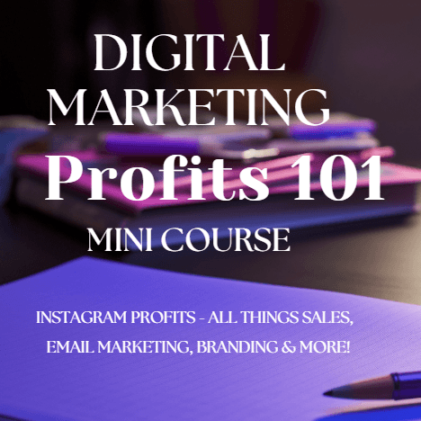 Digital Marketing Profits 101