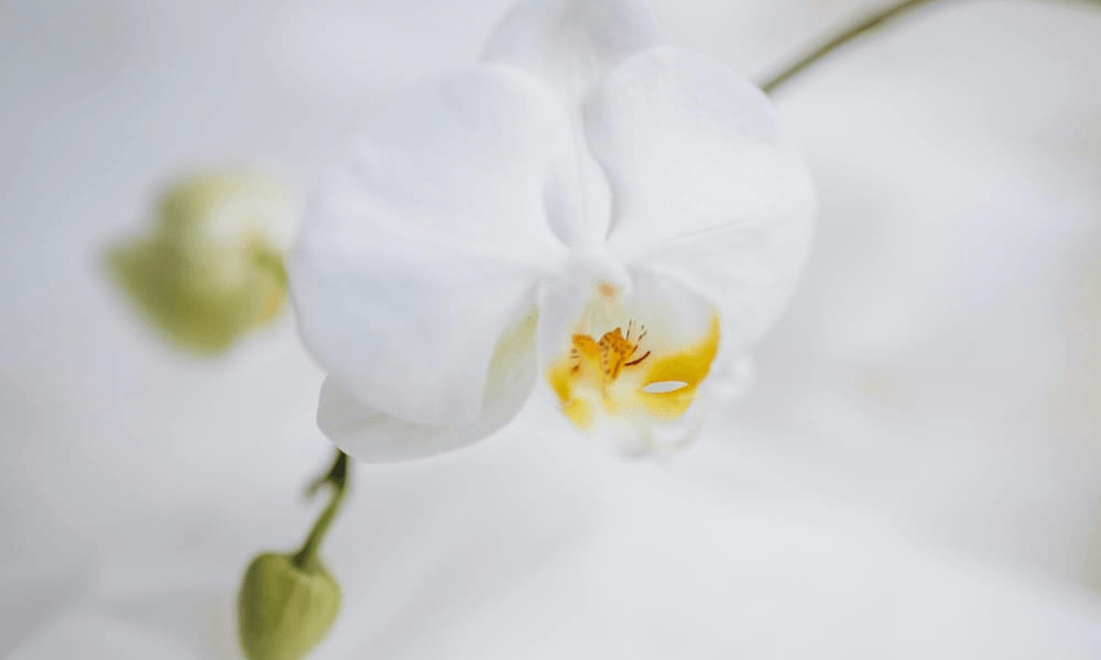 Get your hands on How to Reduce Anxiety Naturally now!