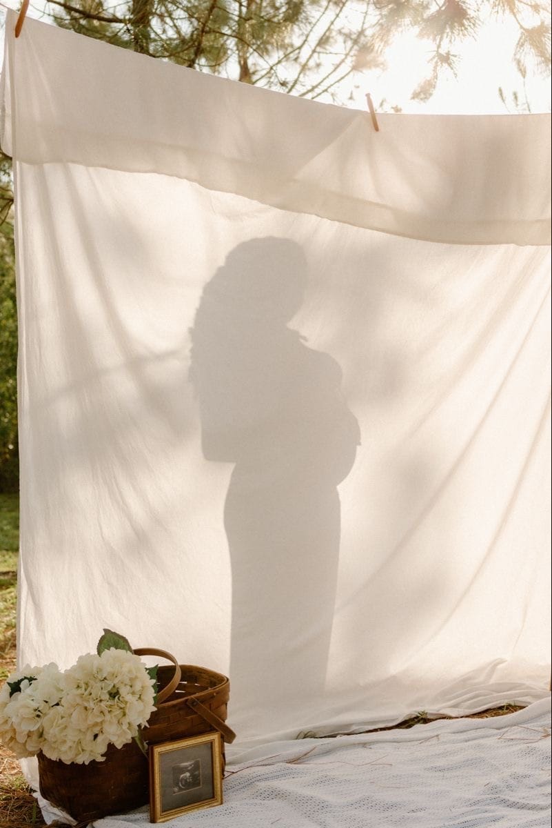 Black, pregnant woman in her Mount Juliet, TN home.