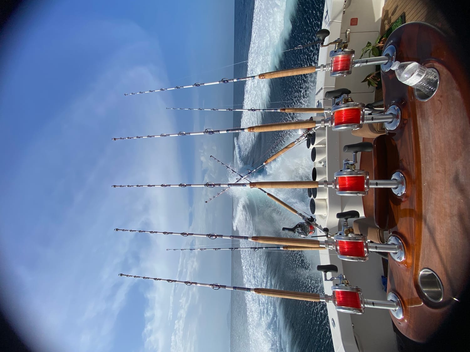Sportfishing boat cruising off the coast of Panama at Tropic Star Lodge, leaving a foamy white wake across the Pacific Ocean. Six professional fishing rods with red reels are mounted on a polished teak fighting chair at the stern, angled toward the horizon under a bright blue sky. A luxury deep-sea fishing charter experience in one of the world’s top billfishing destinations.