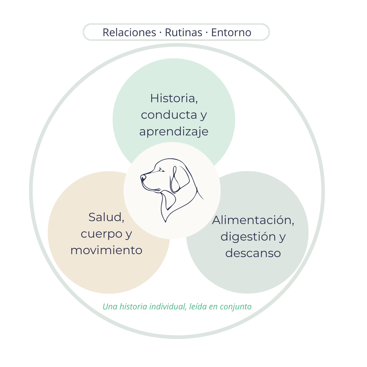 Áreas relacionadas en la consulta integral de Natural Tempos