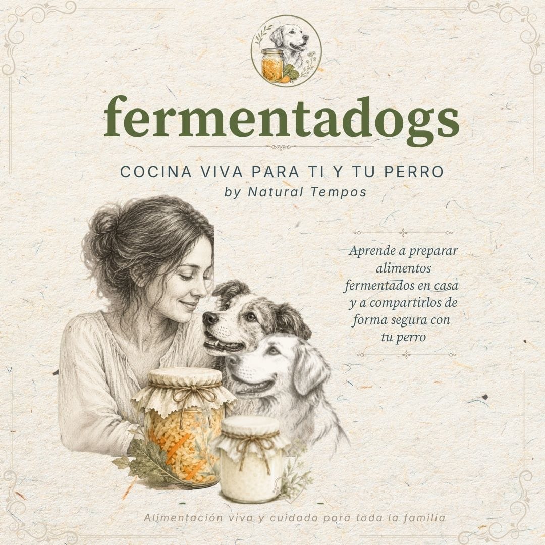 Curso FermentaDogs sobre alimentos fermentados