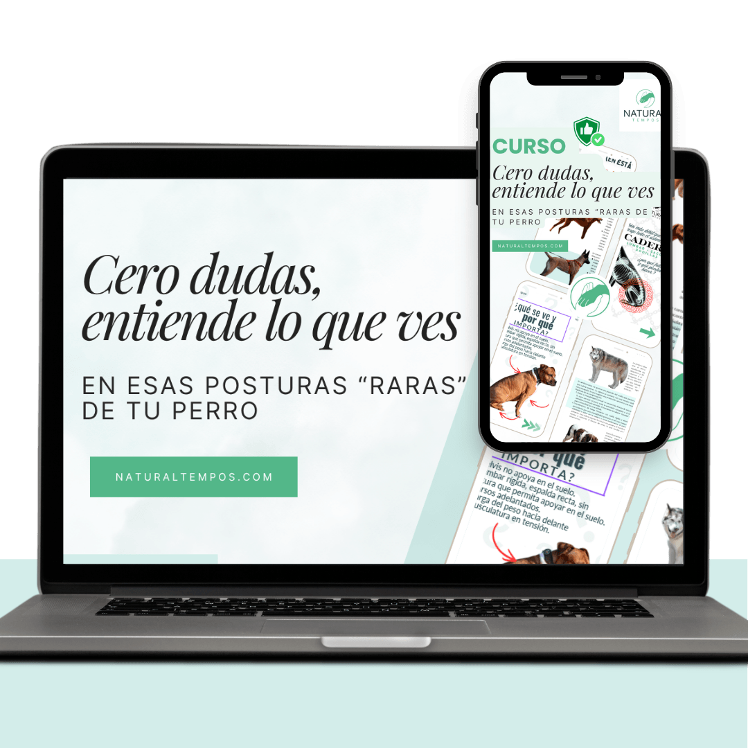 Curso Cero Dudas sobre postura y movimiento canino