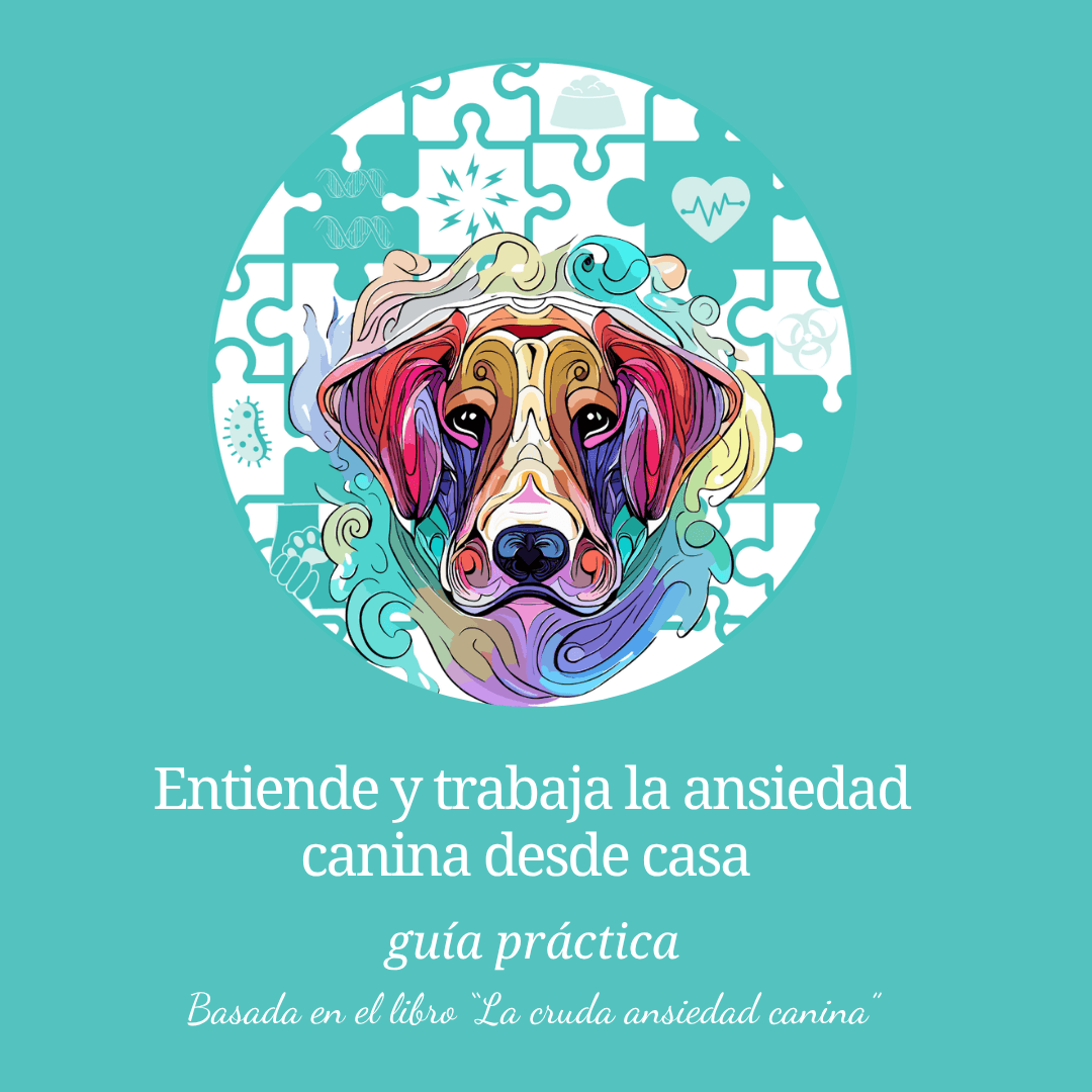Guía práctica sobre ansiedad canina