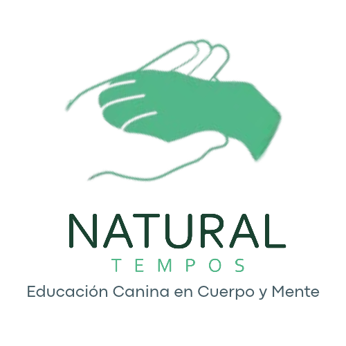 natural-tempos-logo.png