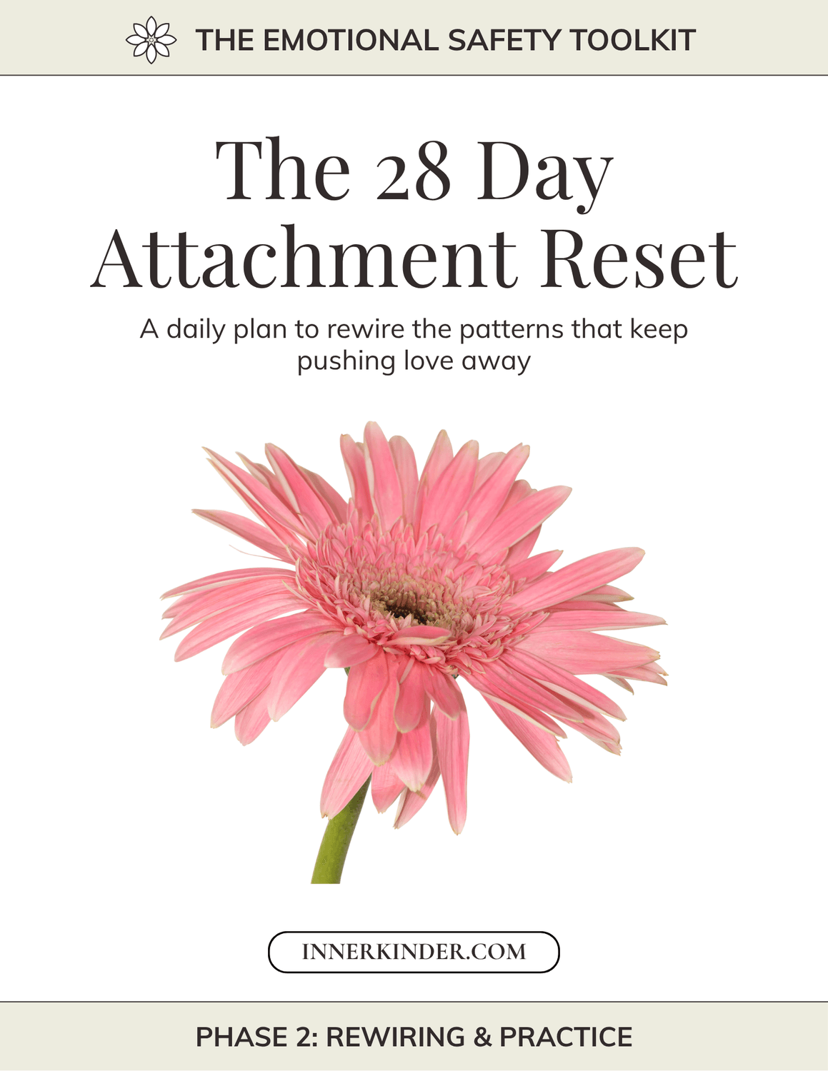 The Abandonment Recovery Plan eBook