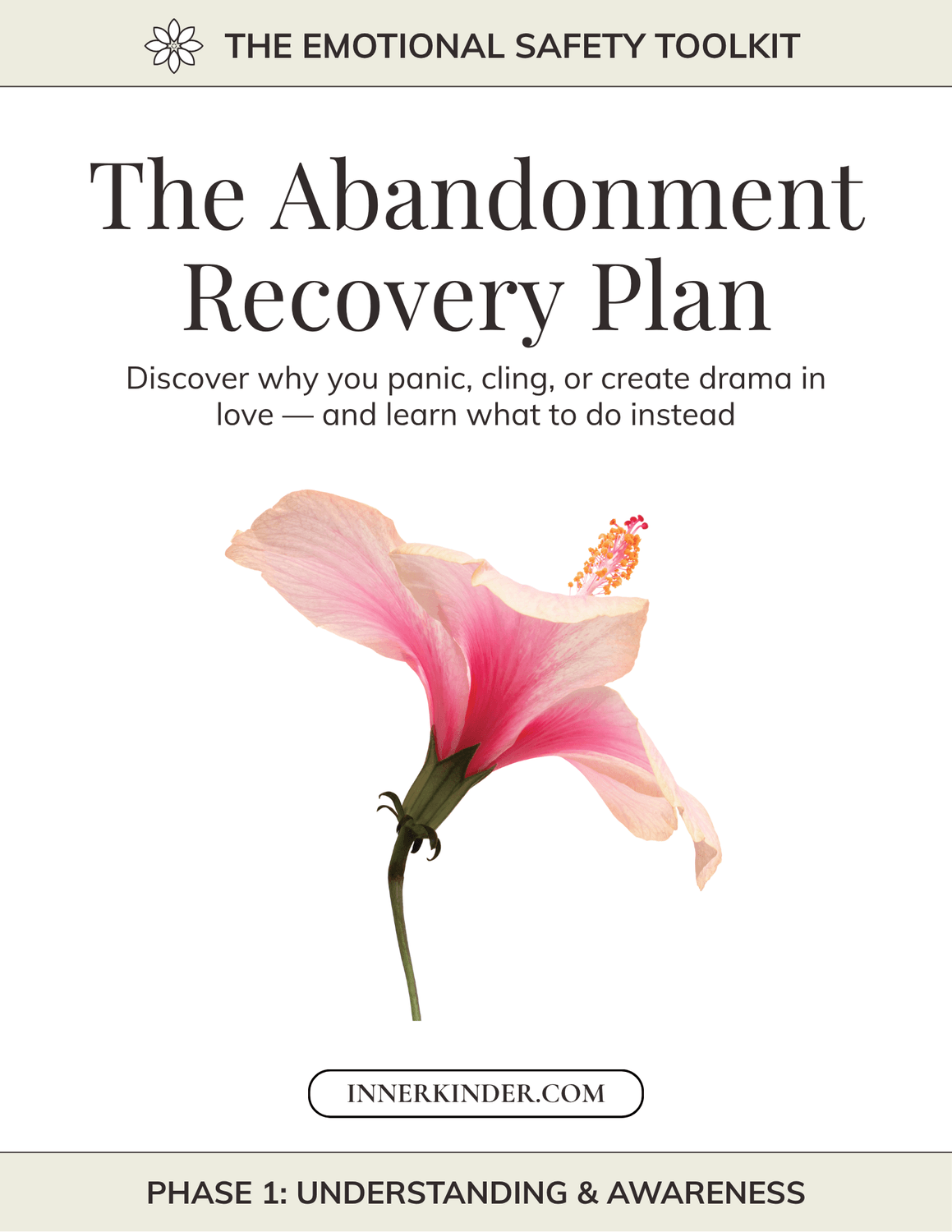 The 28 Day Attachment Reset Workbook