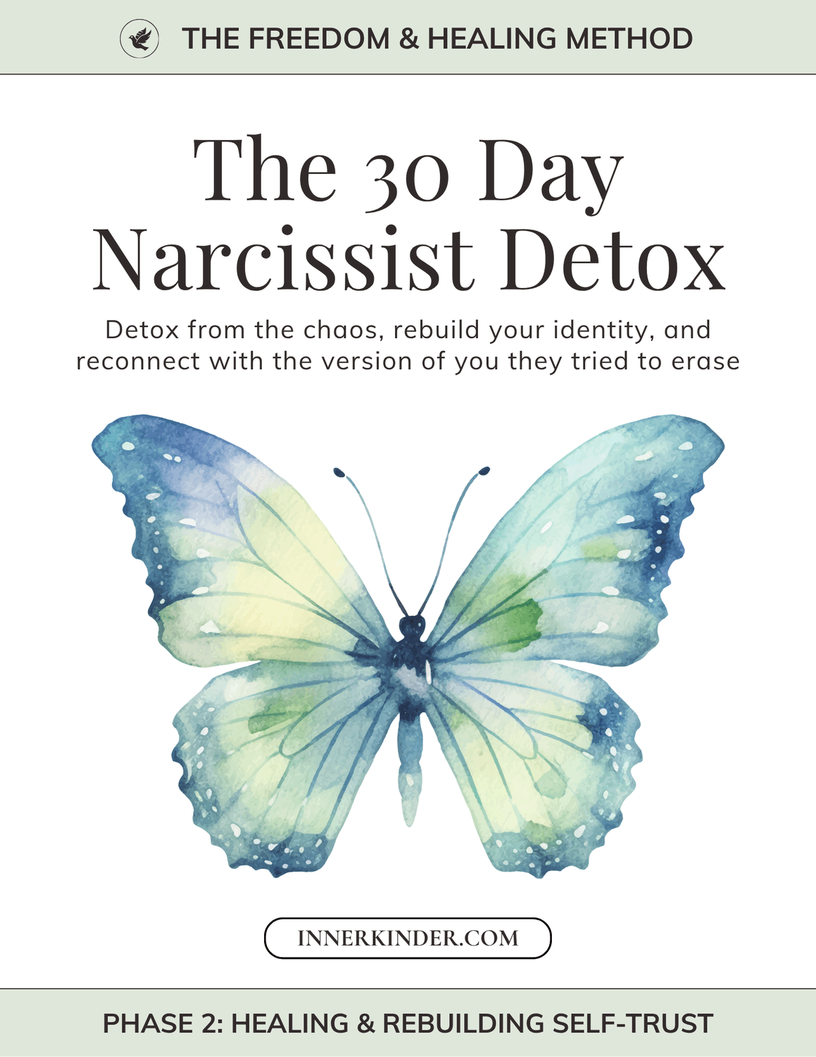The 30 Day Narcissist Detox Guided Journal