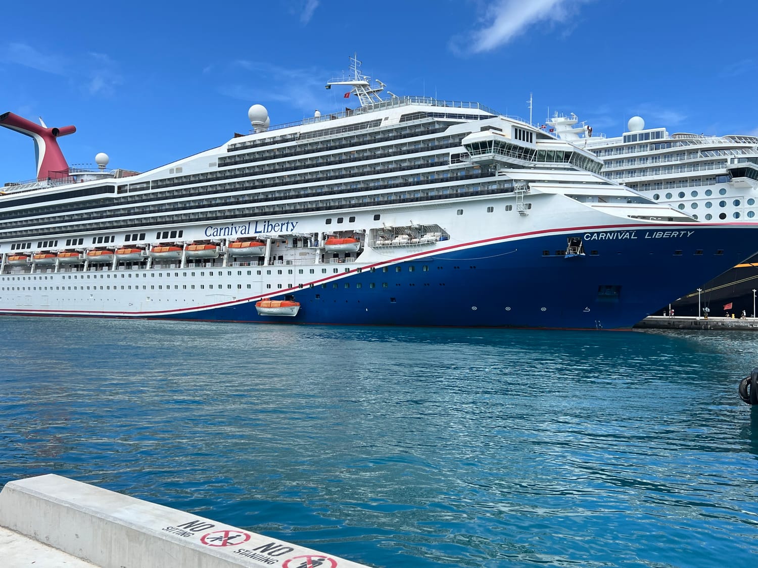 Large cruise ship sailing on the ocean