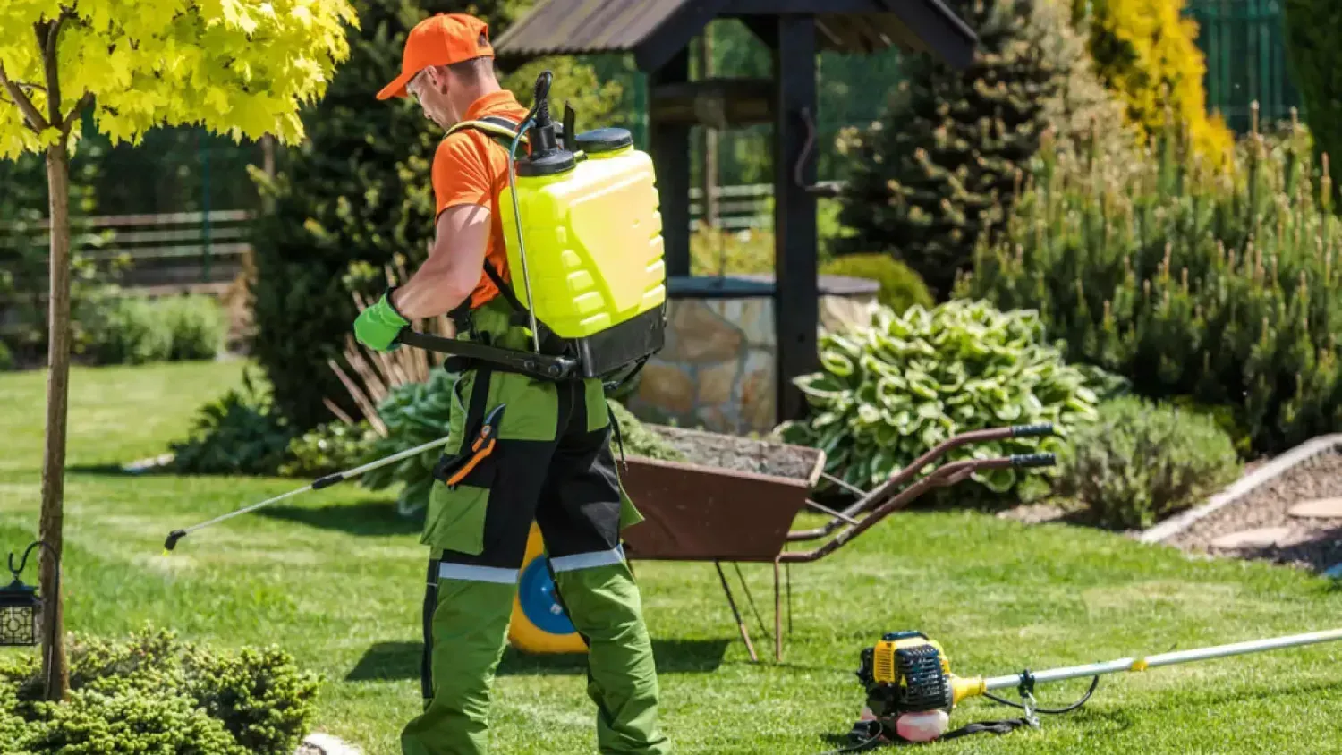 شركة مكافحة حشرات شرق الرياض - الحل الأمثل للتخلص من الحشرات نهائيًا