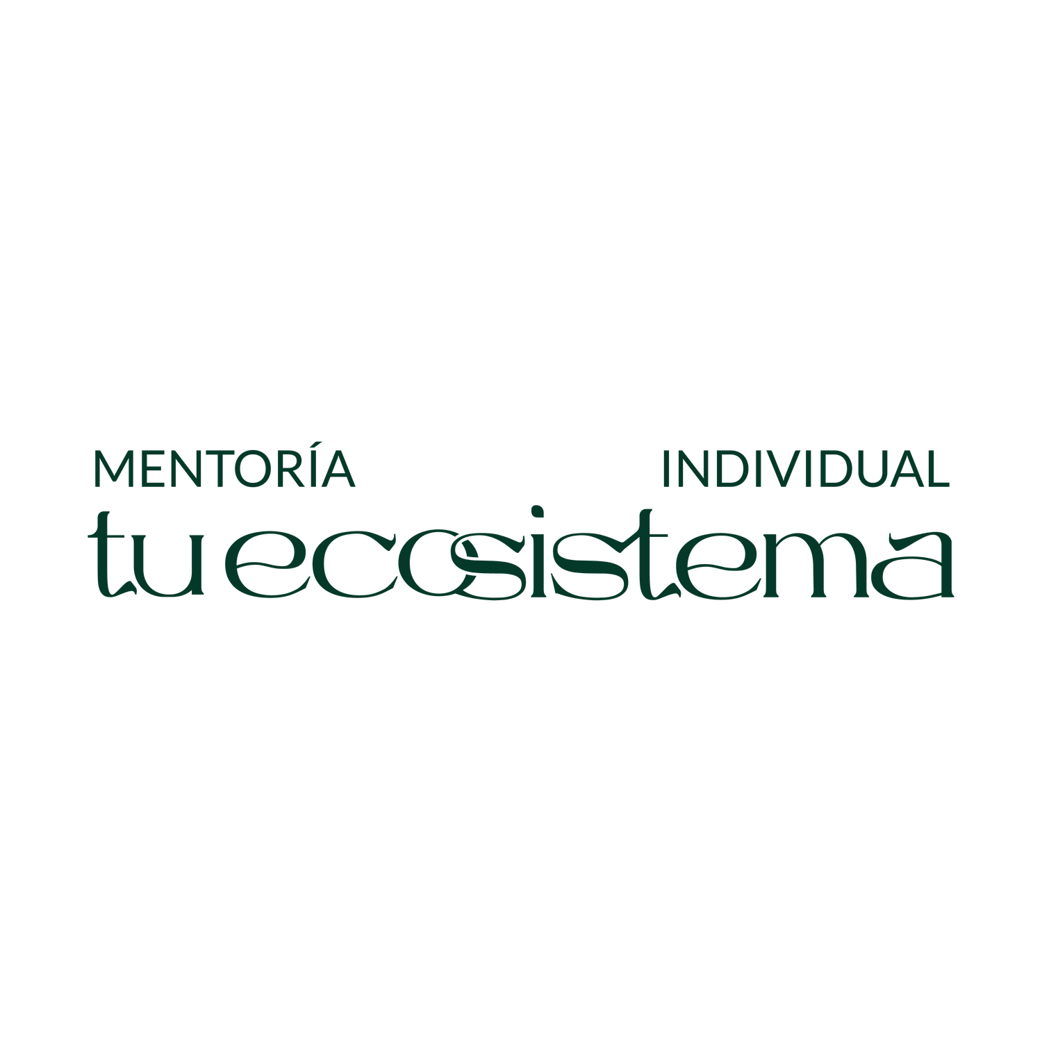 MENTORÍA INDIVIDUAL
