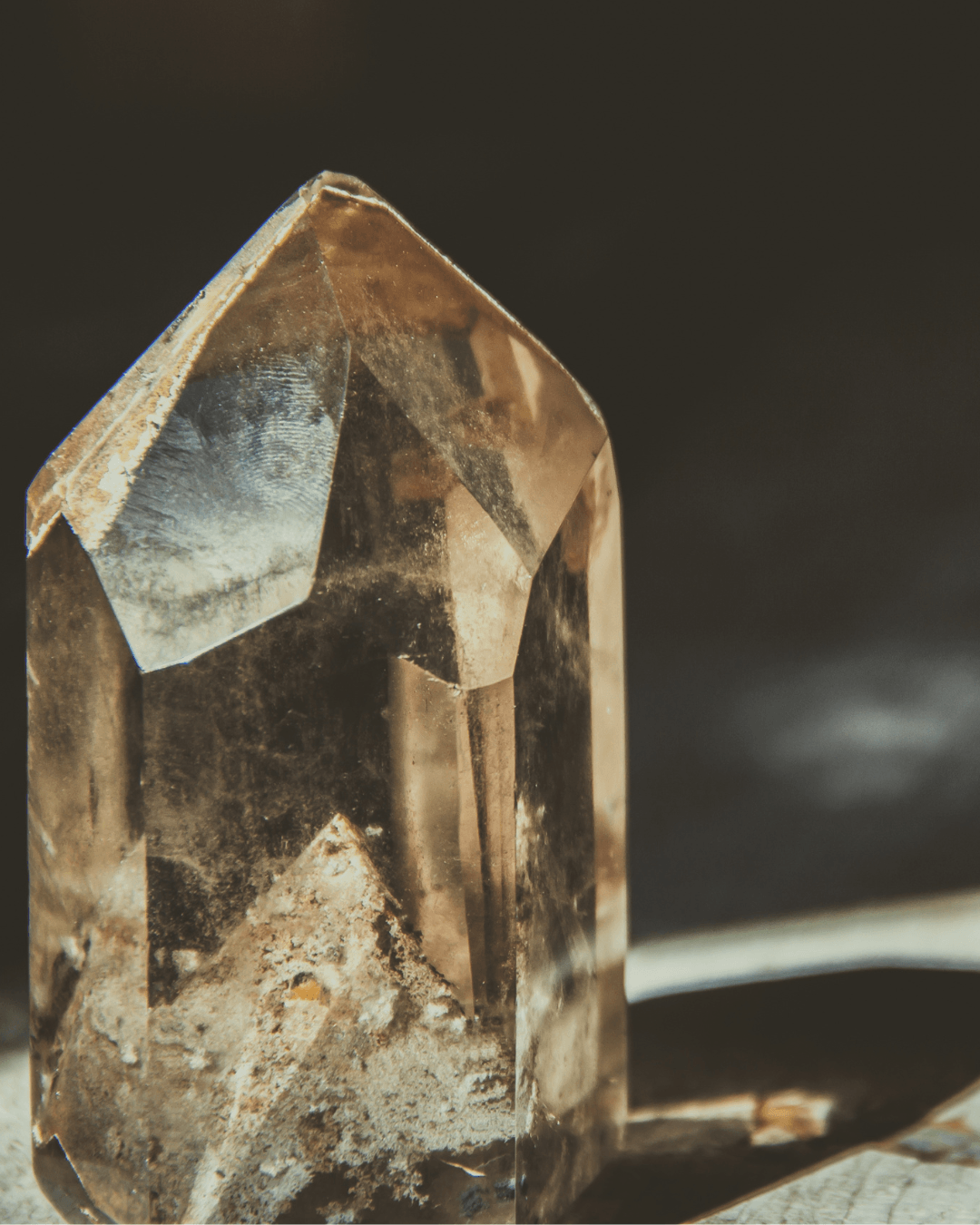 Cocoon, your 9 months mentorship with Nancy Iwakapi