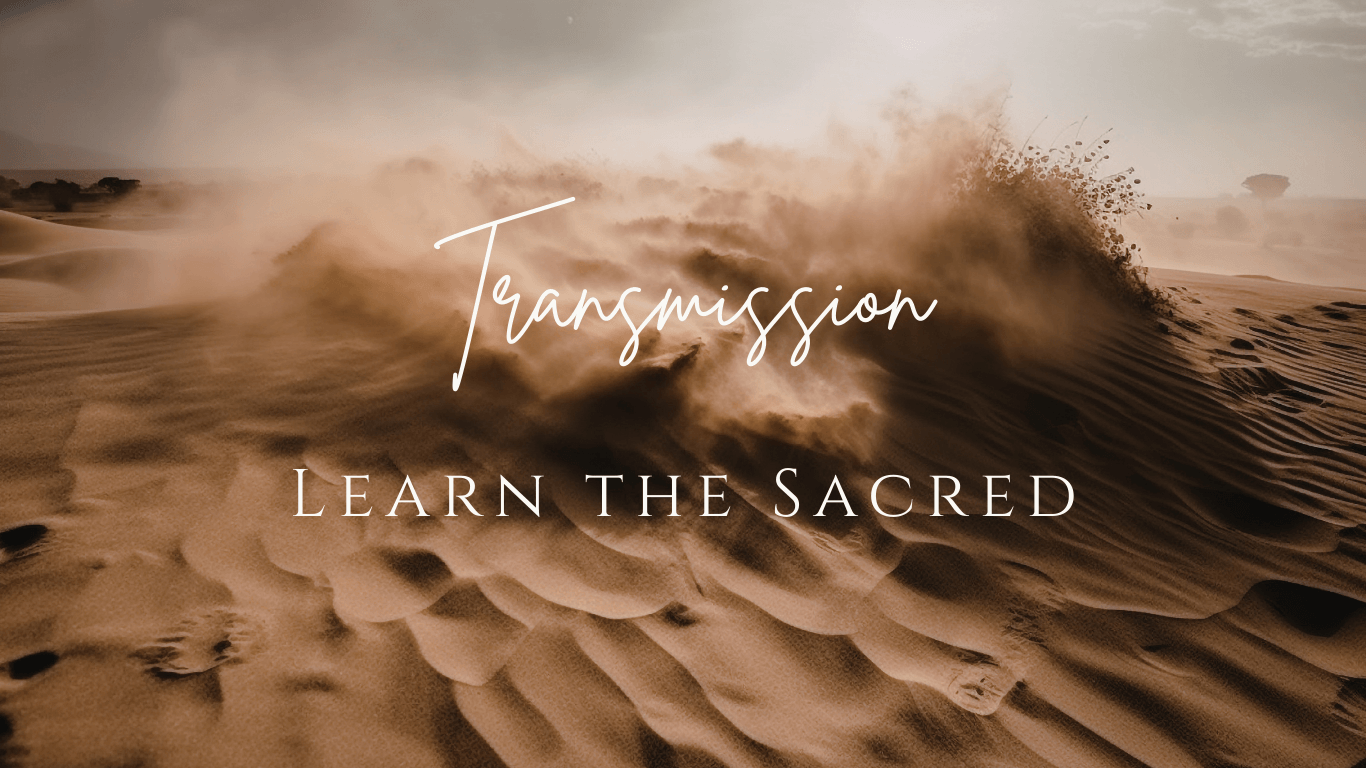 Cocoon, your 9 months mentorship with Nancy Iwakapi