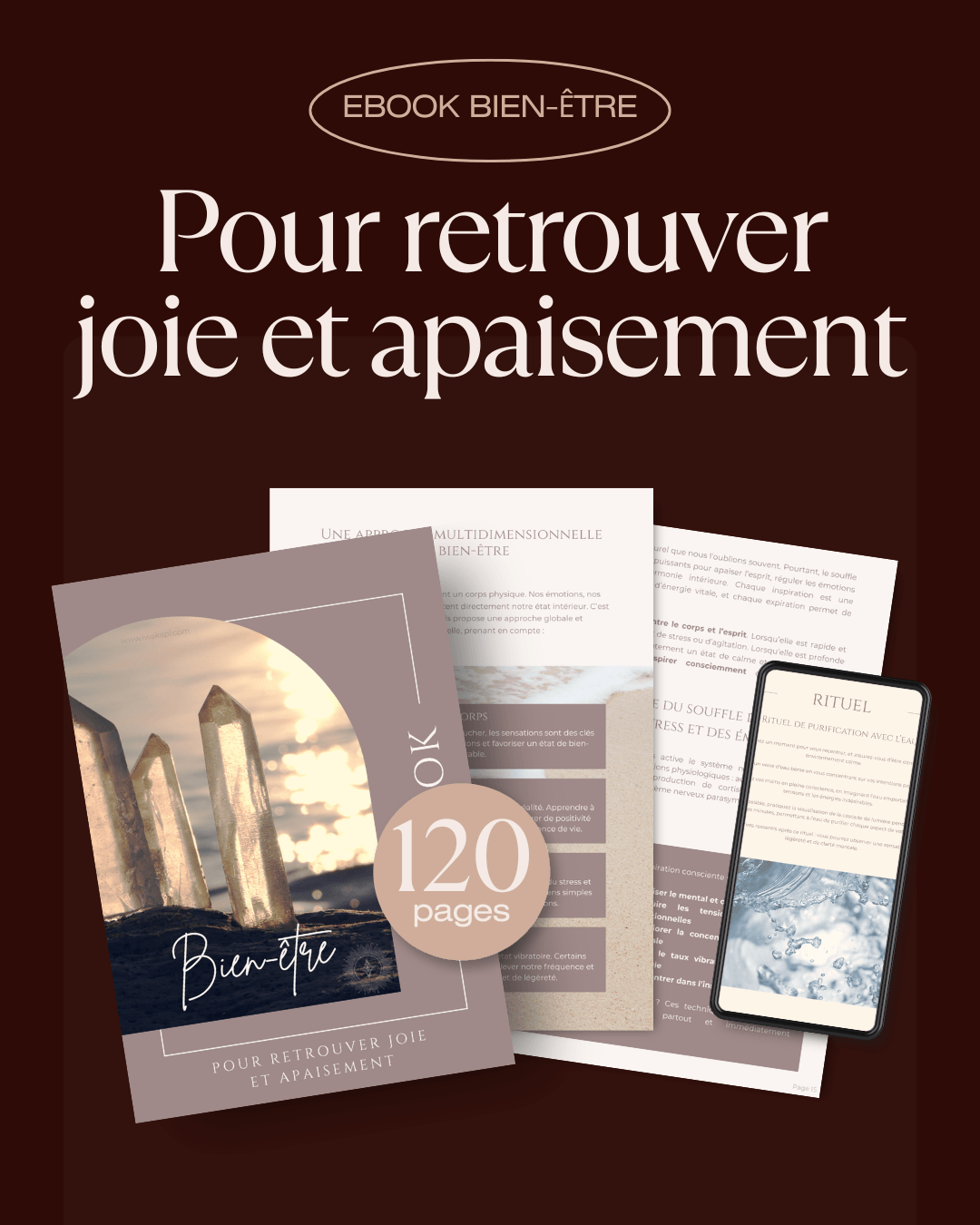 Ebook Bien-Être par Nancy Iwakapi en français