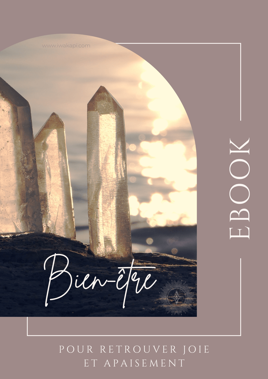 Ebook Bien-Etre par Nancy Iwakapi page de couverture