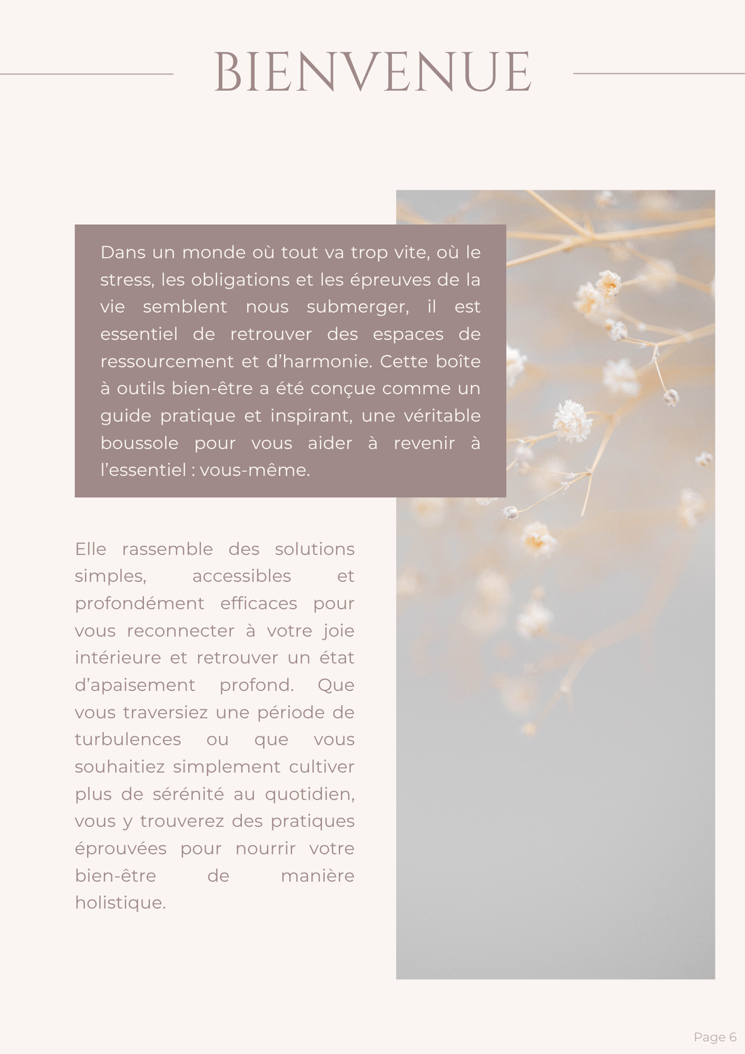 Ebook bien Etre par Nancy Iwakapi parge 6