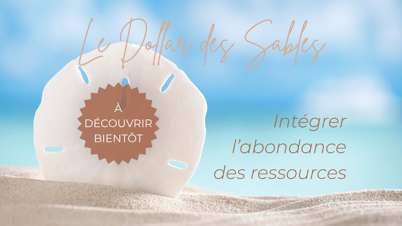 Le dollar des sable, un soin énergétique puissant pour activer l'abondance financière et les ressources. par Nancy Iwakapi