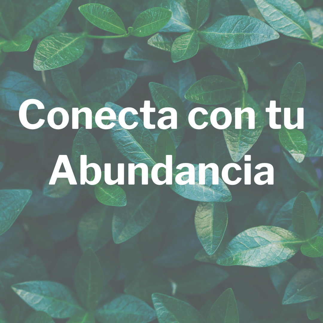 Conecta con tu Abundancia