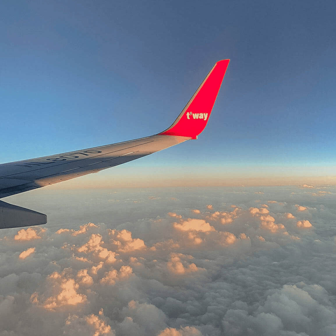 Travel Insurance 🚑