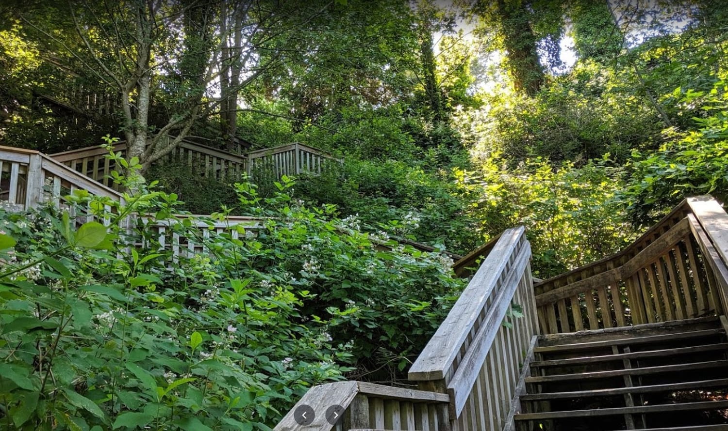 1001 Steps staircase in Ocean Park, South Surrey