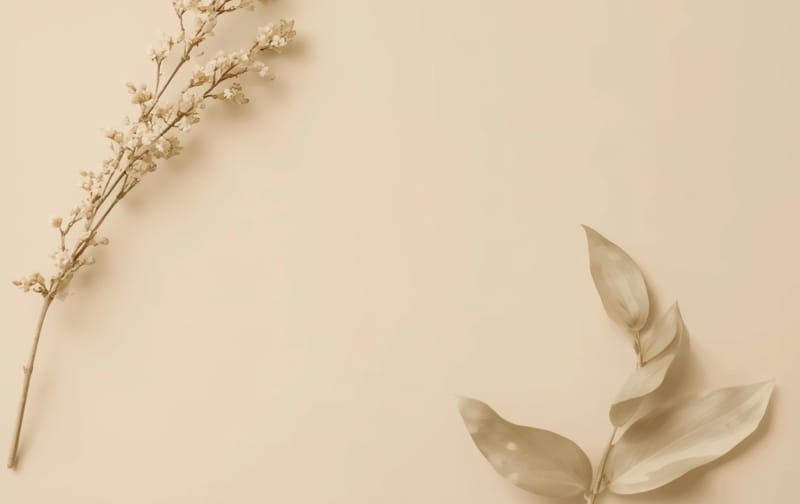 minimal workbook cover botanical beige