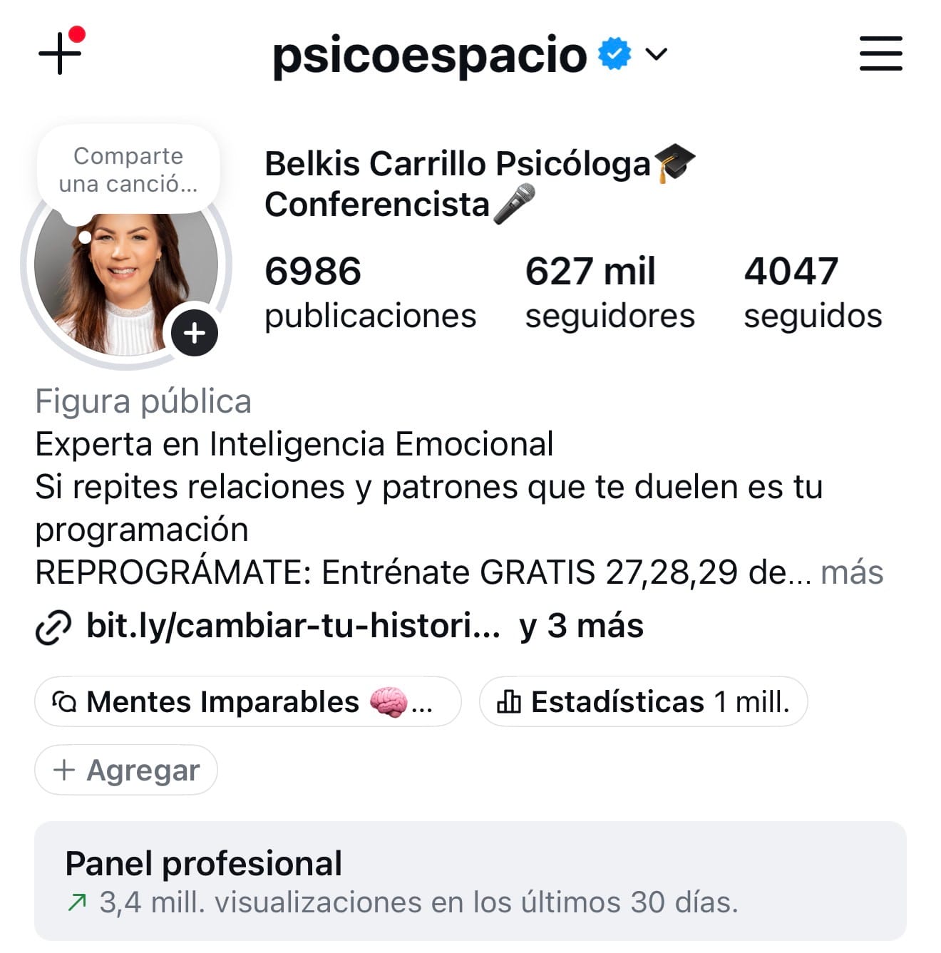 Perfil de Instagram con panel profesional incluido