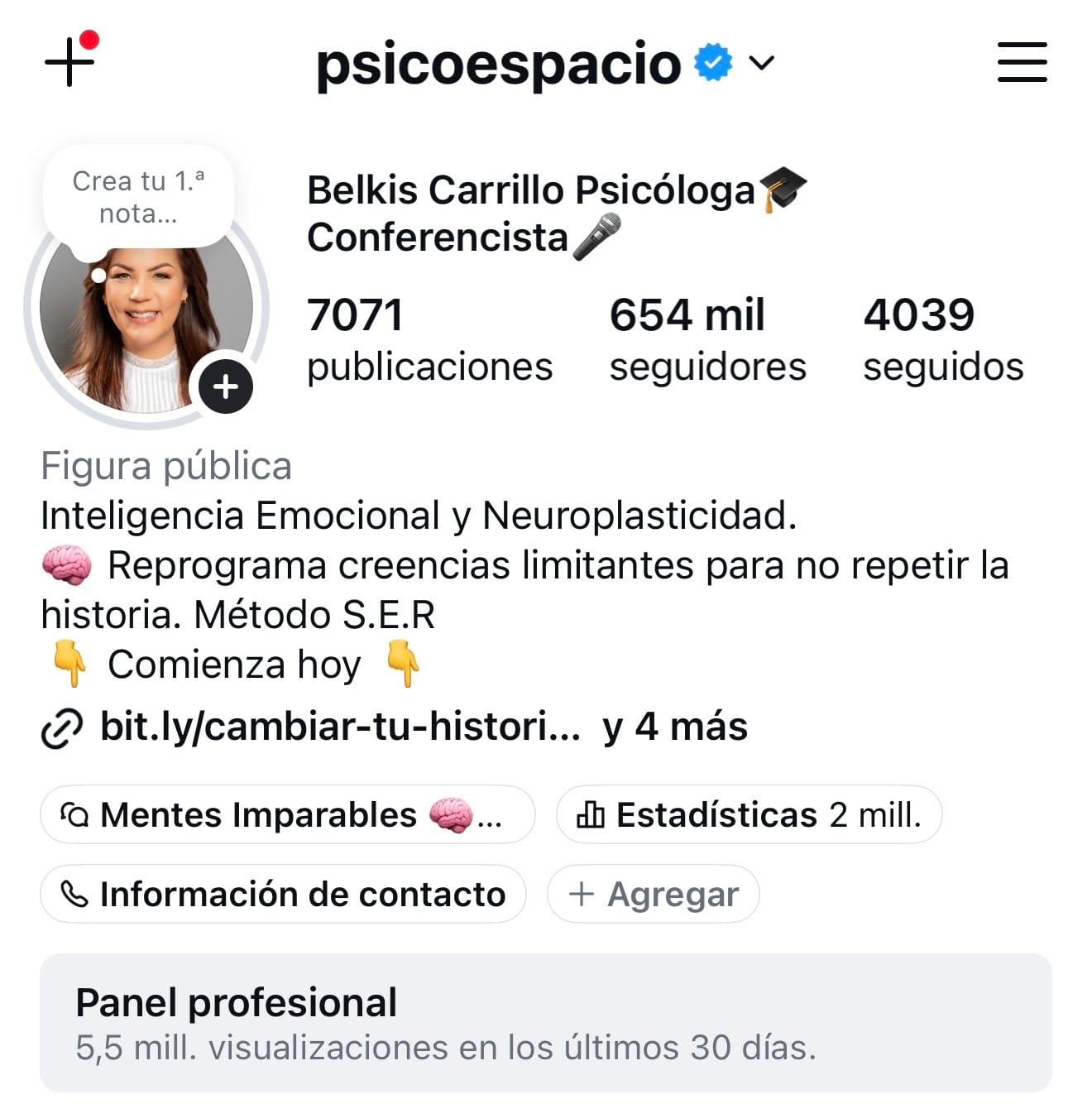 Perfil de Instagram con panel profesional incluido