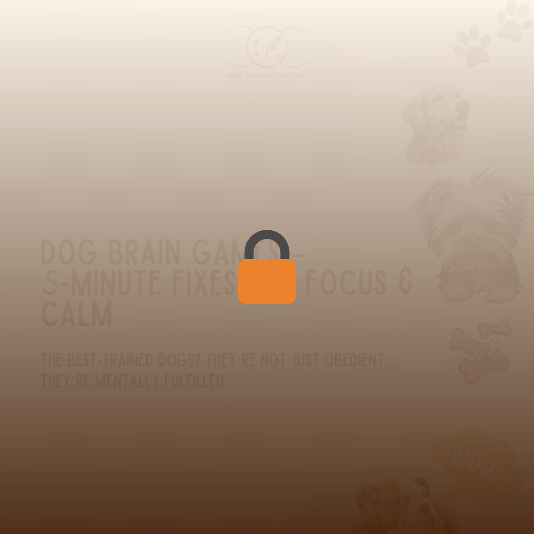Preview of Dog Brain Games – 5-Minute Fixes for Focus & Calm. This guide features quick, science-backed brain training games for dogs designed to reduce chaos, build mental focus, and support better dog behavior. Ideal for calming reactive dogs and mentally stimulating smart pups through fun enrichment activities.