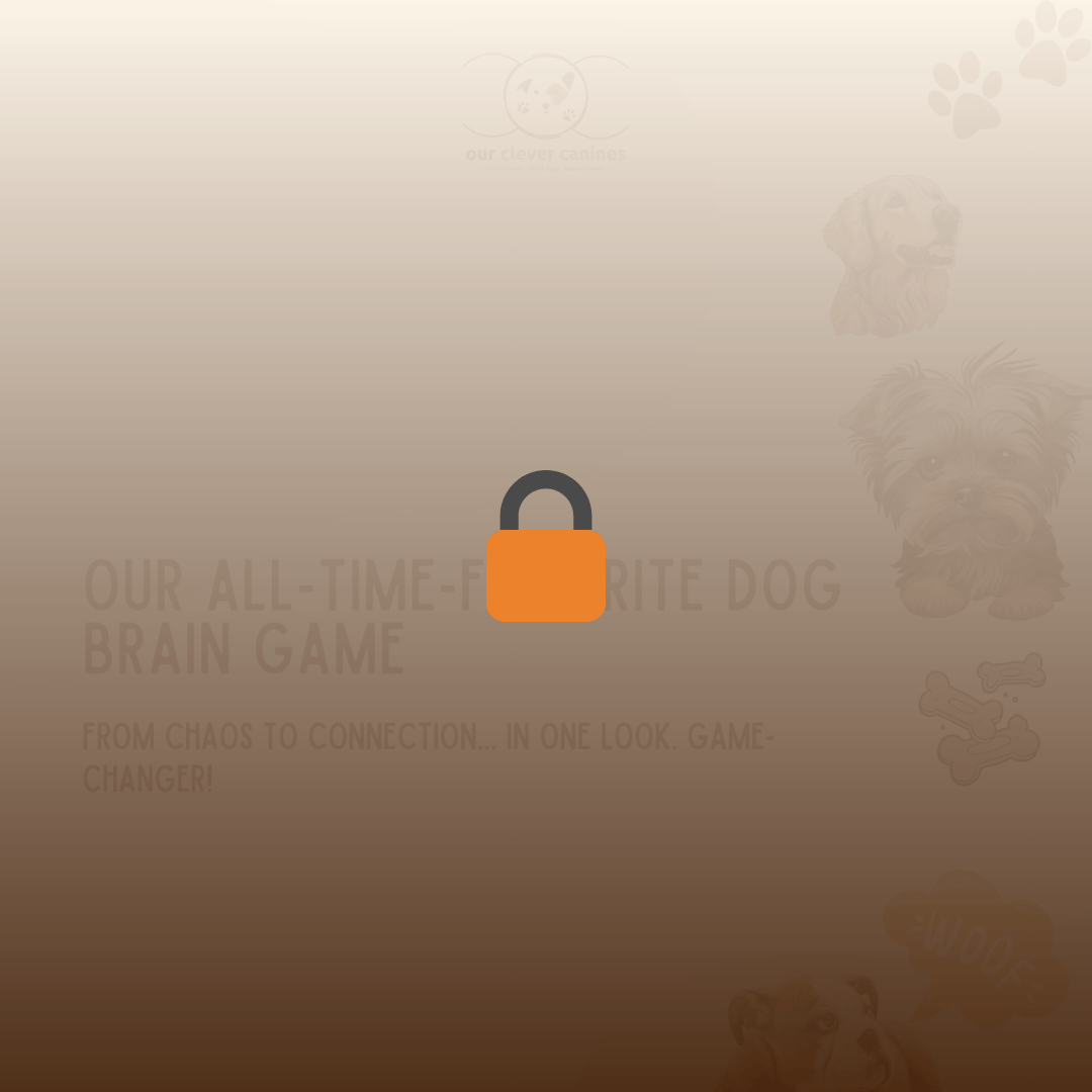 Preview of Our All-Time-Favorite Dog Brain Game. A step-by-step focus exercise that teaches dogs to maintain eye contact, improve recall, and ignore distractions. Ideal for dog parents looking for positive reinforcement methods to calm reactive dogs and boost training results.