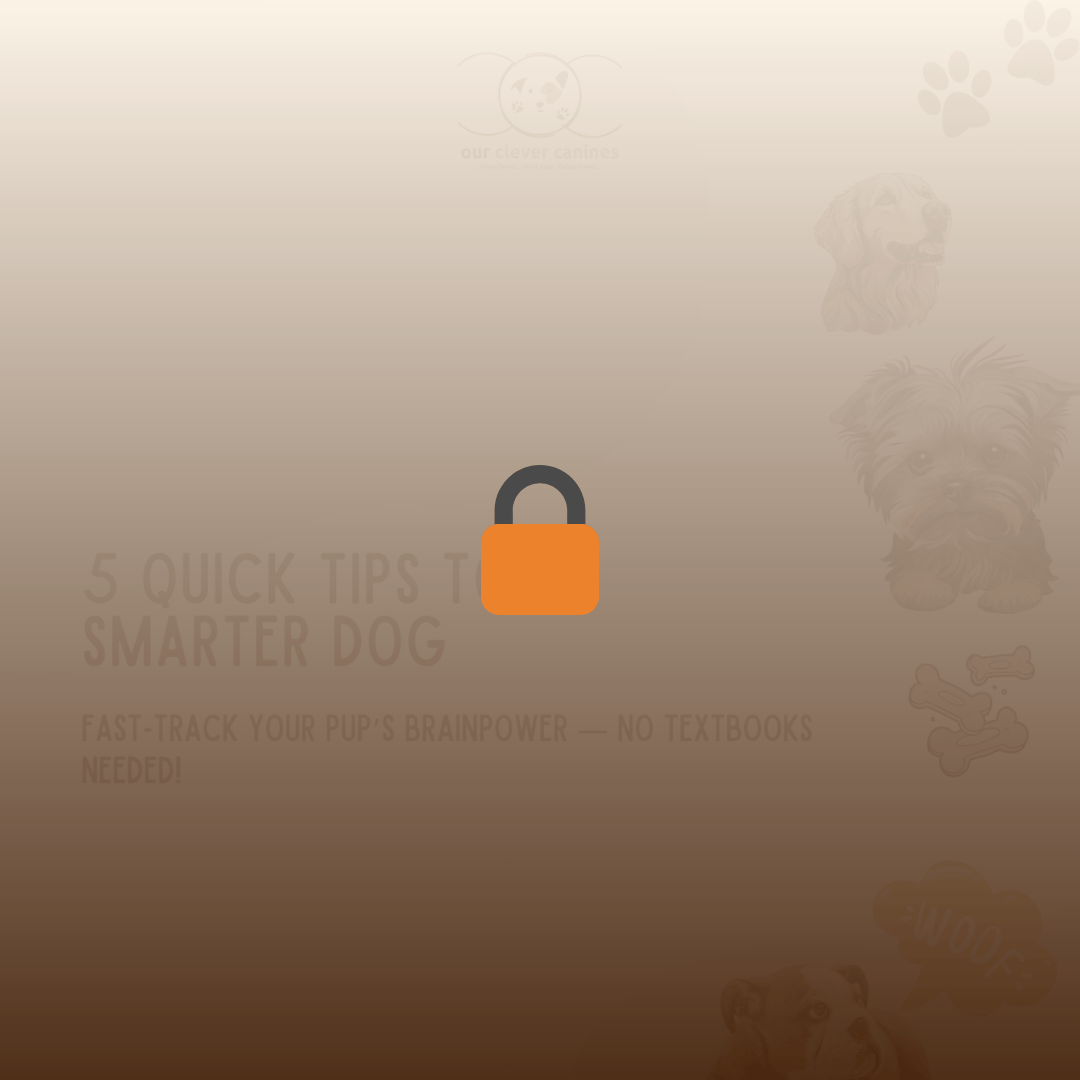 Preview of 5 Quick Tips to a Smarter Dog. This guide features enrichment activities and brain training exercises that increase focus, problem-solving, and mental stimulation for dogs. Perfect for busy dog parents seeking fast, effective tips to keep their dogs happy and engaged.
