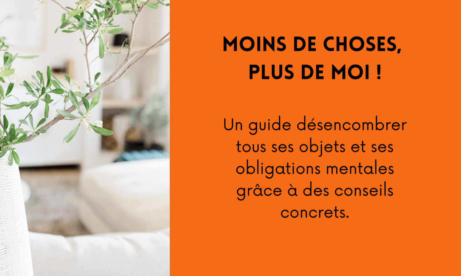 Obtenez le guide dès maintenant !