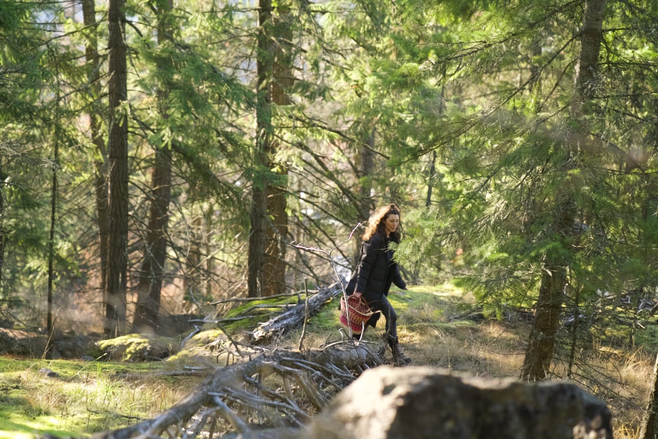 Woman walking through a forest carrying a basket