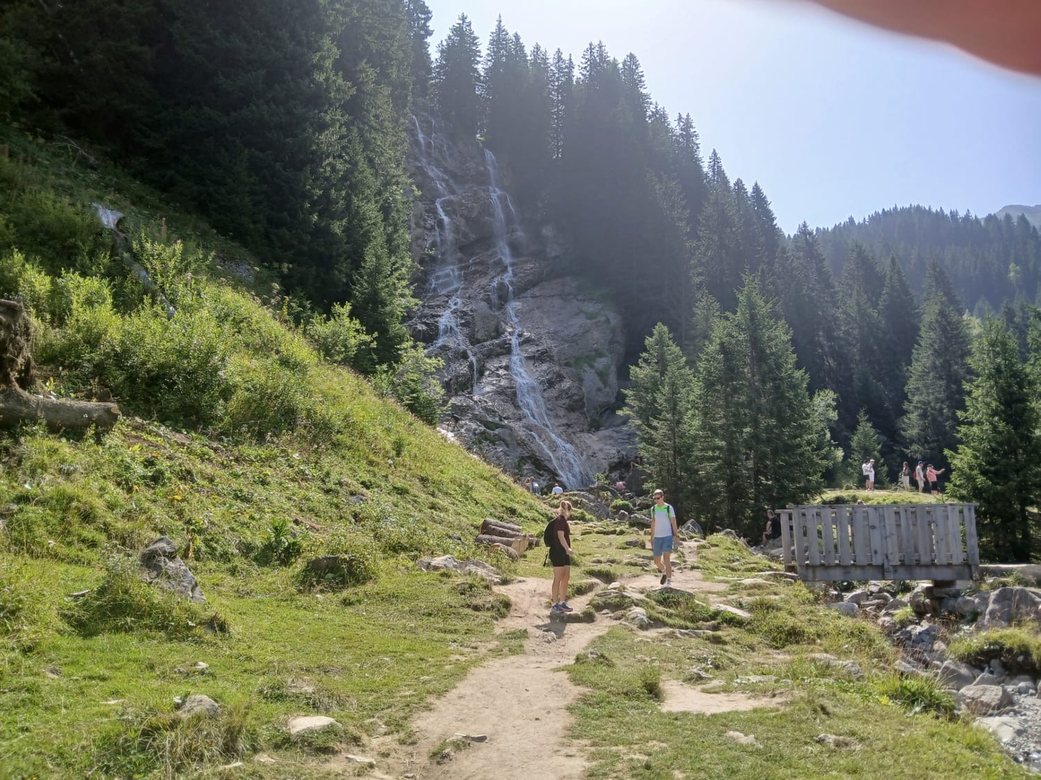 Coaching naturopathie en pleine nature – séance ressourçante à Montaigu