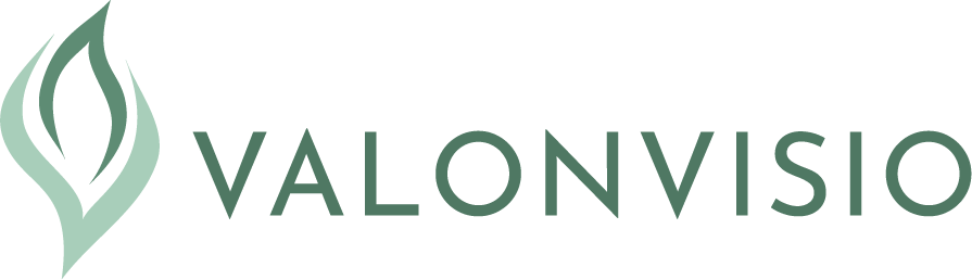 Valonvisio