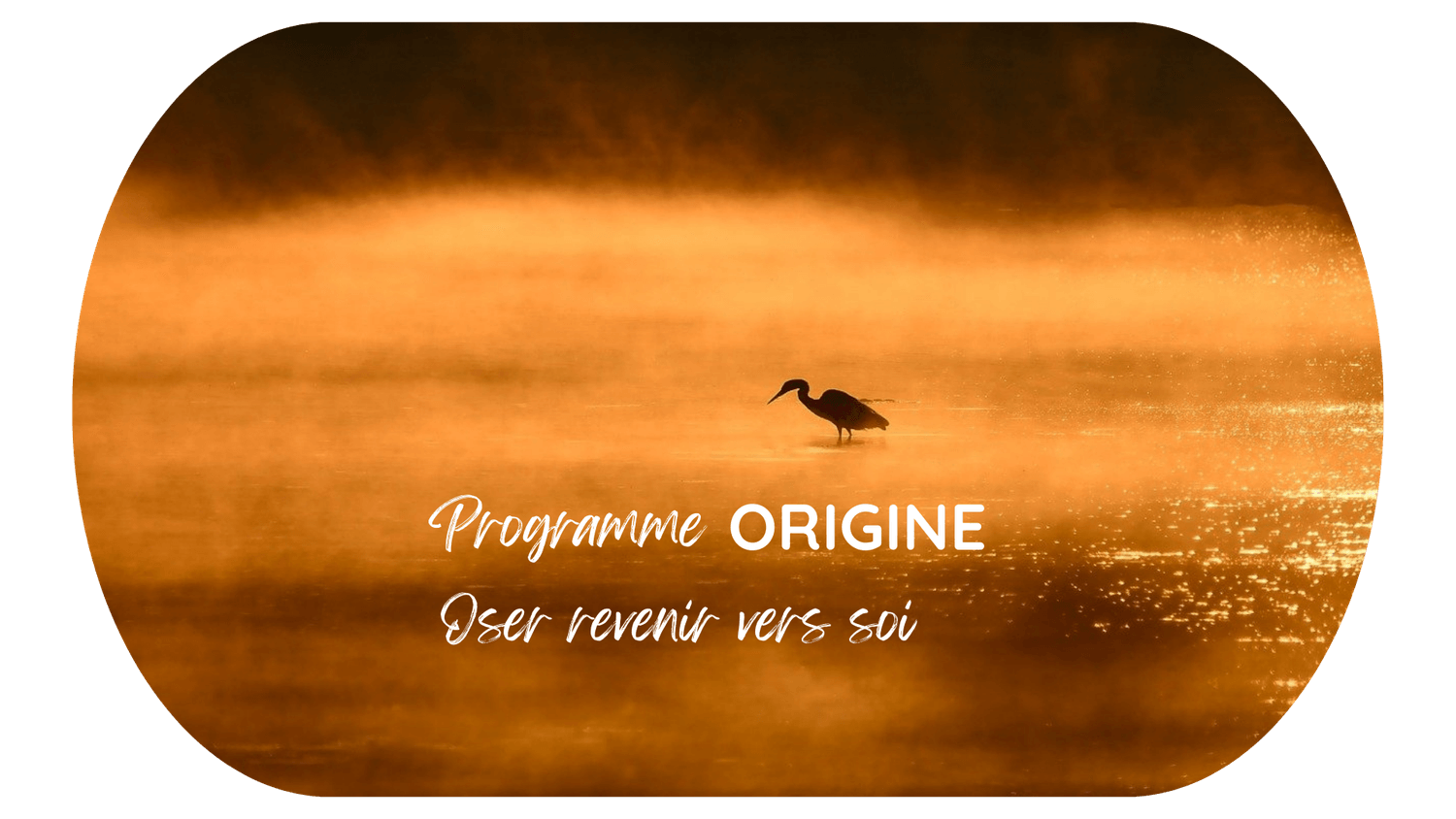 programme origine pleine conscience