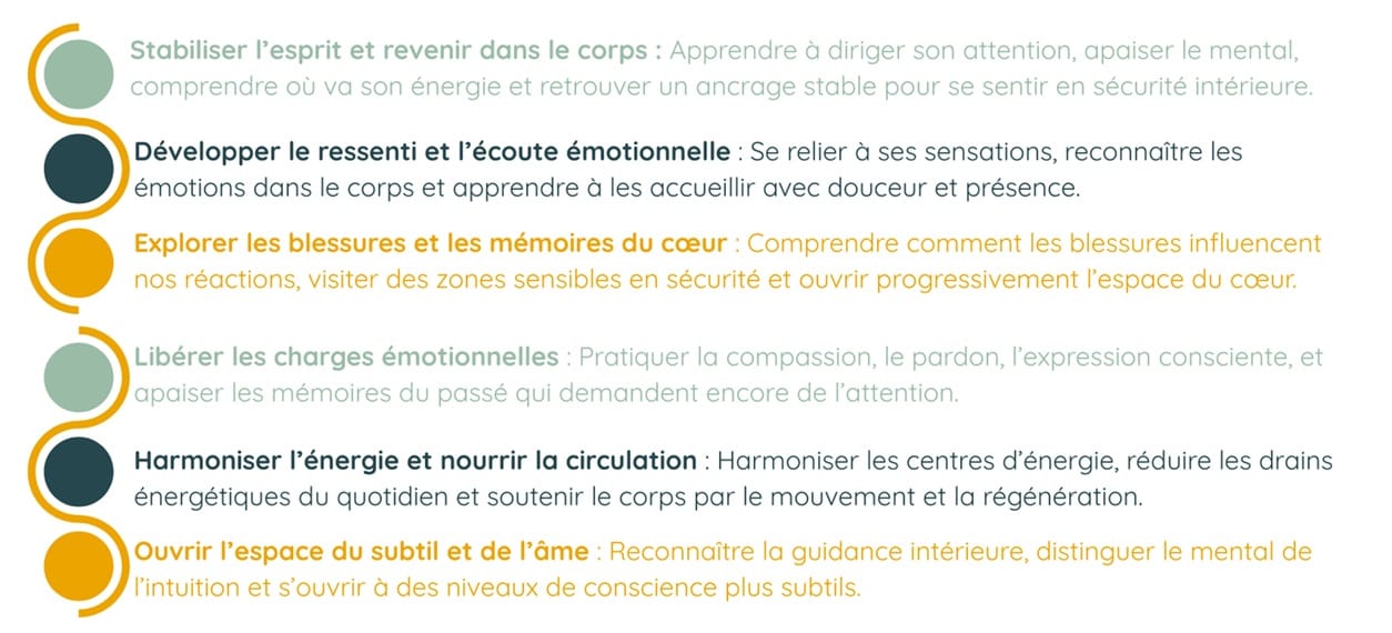 schema du programme seve et du cheminement en pleine conscience