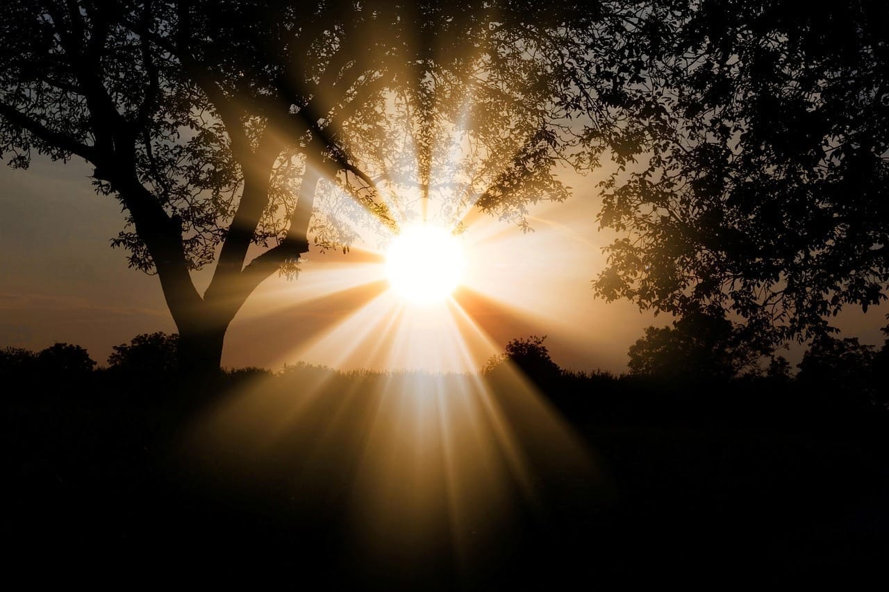 Morning sunlight offers several longevity benefits