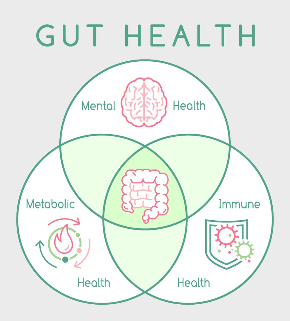 mental health, metabolic health and immune health all depend on gut microbiome health