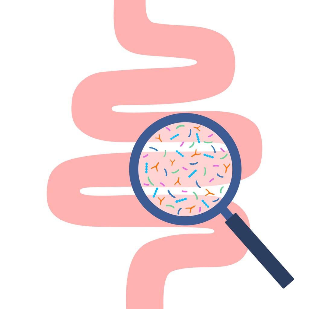 analyzing the gut microbiome with a magnifying glass showing gut microbes