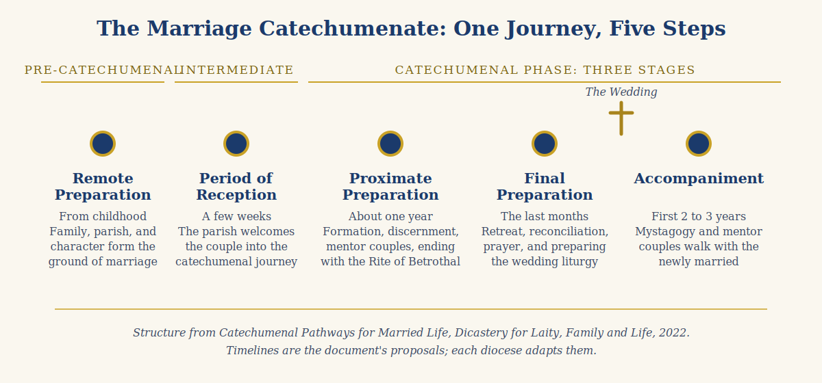 Diagram of the marriage catechumenate phases and stages: remote preparation, the period of reception, proximate preparation ending with the Rite of Betrothal, final preparation, the wedding, and accompaniment in the first years of marriage