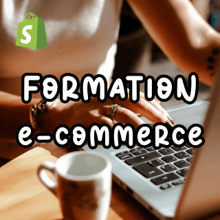 🖥️FORMATION E-COMMERCE (VERSION PILOTE)